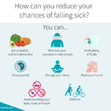 The Best Home Remedies For Treating Common Cold And Flu Symptoms